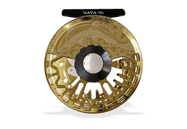 Abel Vaya Reel