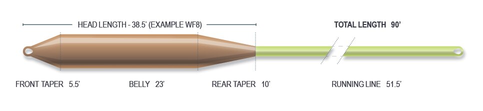 Floating Red Fly Line Airflo Ridge 2.0 Gulf Redfish Floating Fly Line – VAIL VALLEY ANGLERS