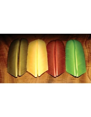 Hareline Dubbin Turkey Biot Quills in Rusty Spinner