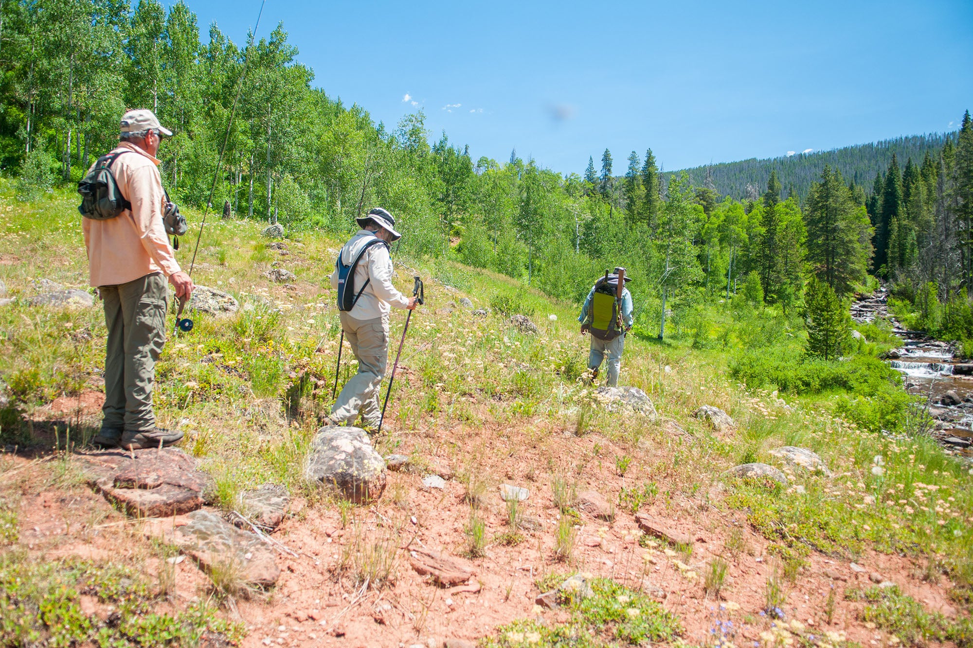 Two anglers hiking in to a remote creek with a Vail Valley Anglers guide for a day of fishing.