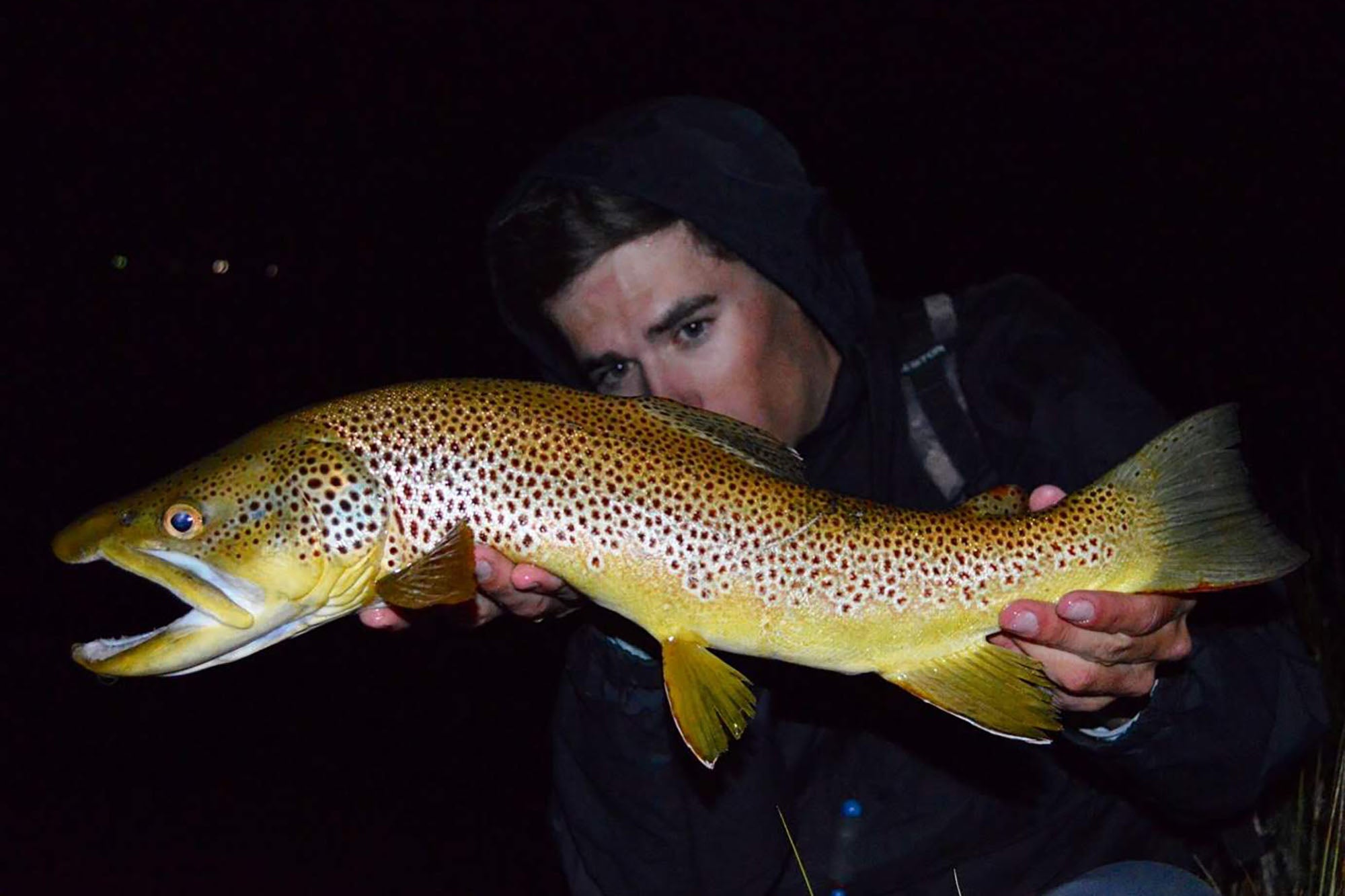 An angler admires a large brown trout caught while fishing at night in Colorado.