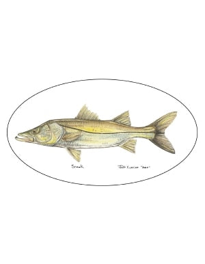 Pescador On The Fly Snook Decal in Snook