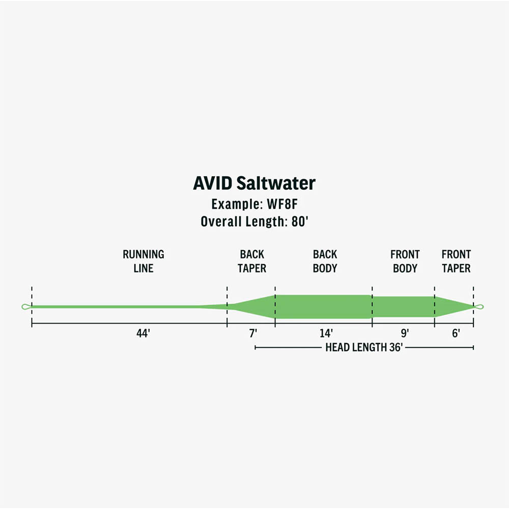 Rio Avid Saltwater Fly Line