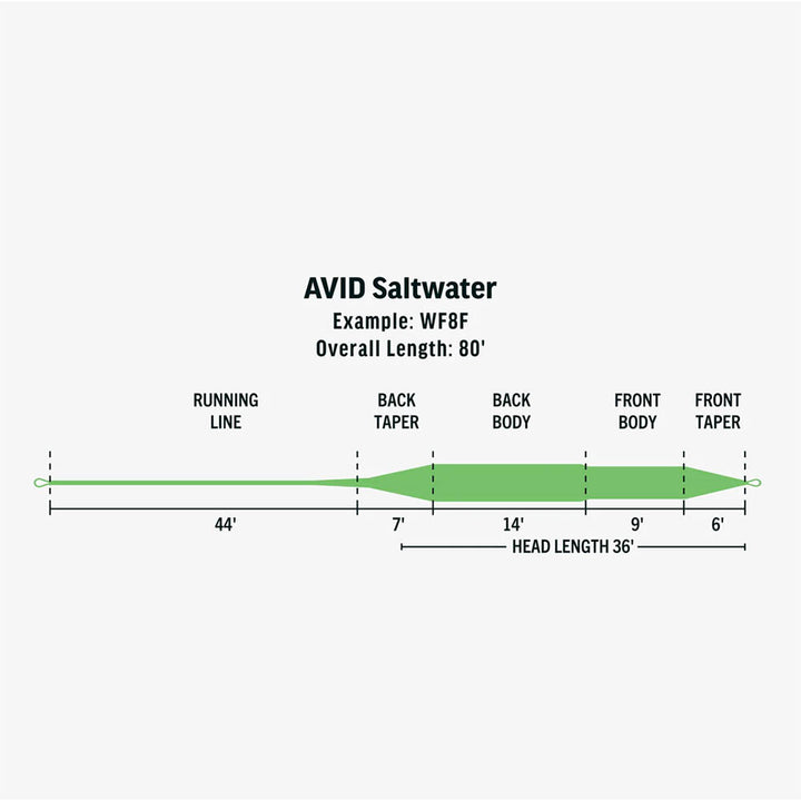 Rio Avid Saltwater Fly Line