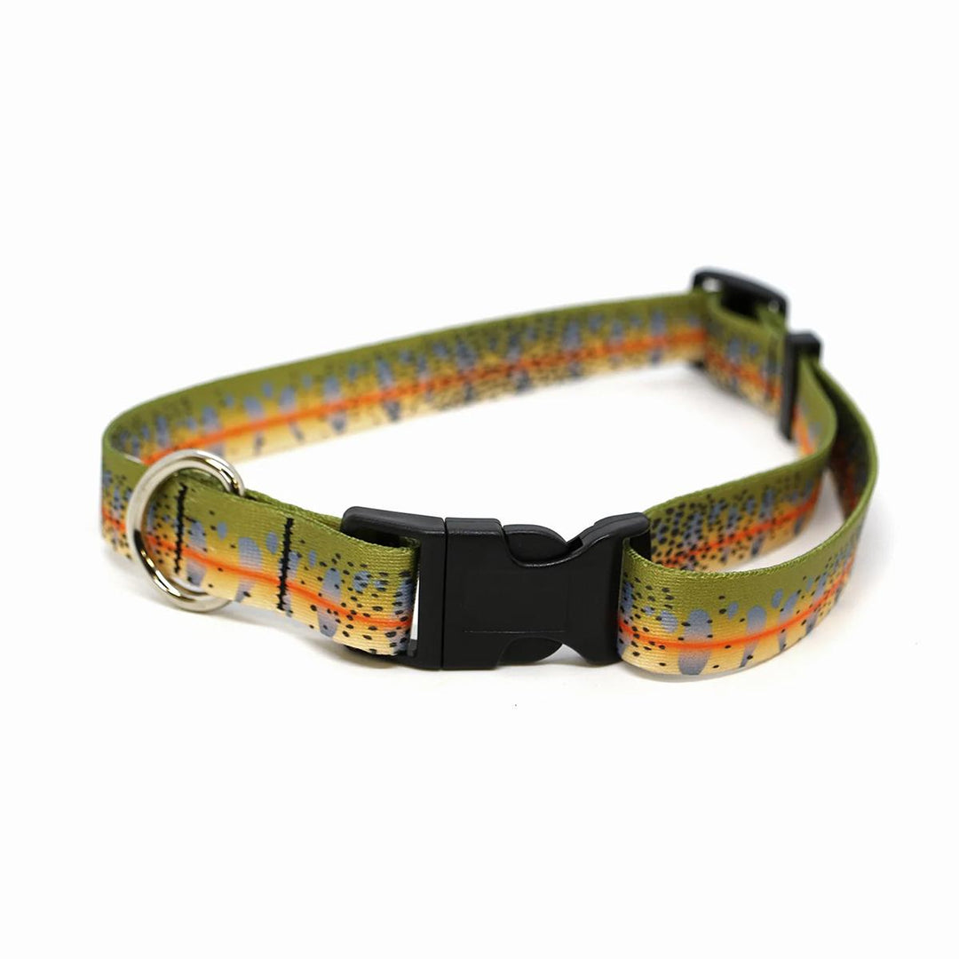 RepYourWater Dog Collar in Cutthroat Skin