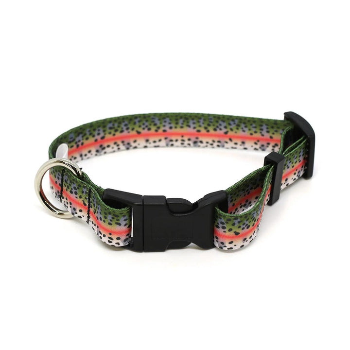 RepYourWater Dog Collar in Rainbow Trout Skin