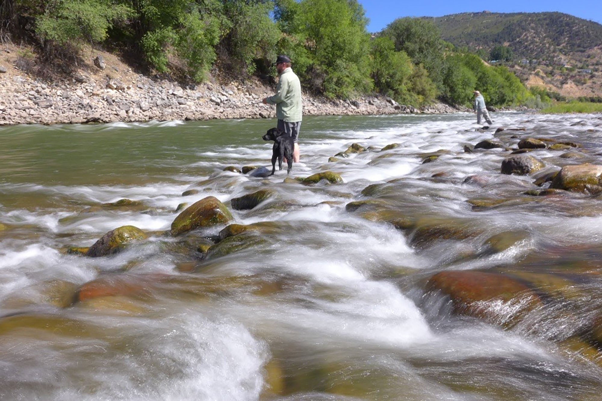 Two people fly fishing in a river with rocky bed and greenery on the banks.