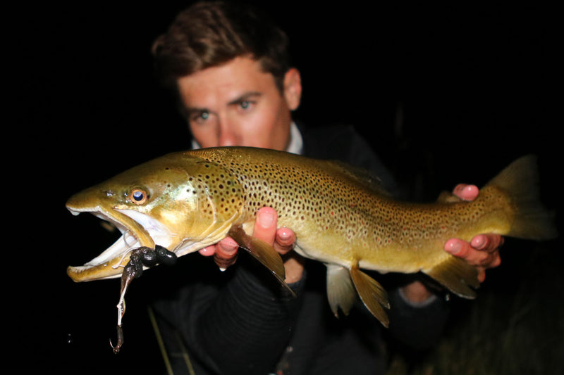 An angler showcasing a big brown trout that was caught using a mouse fly during a night fishing session.