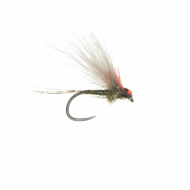 Umpqua Antonios's Adult in BWO