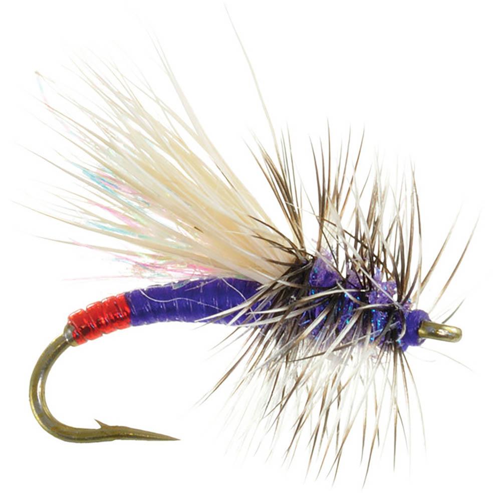 Umpqua Mini Hot in Purple