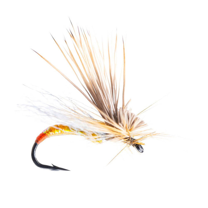 Umpqua Missing Link Mercer's in Sally