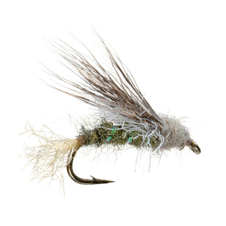 Umpqua X2 Caddis Matthew's in Olive